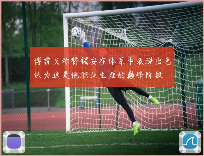 博雷戈称赞锡安在体系中表现出色认为这是他职业生涯的巅峰阶段
